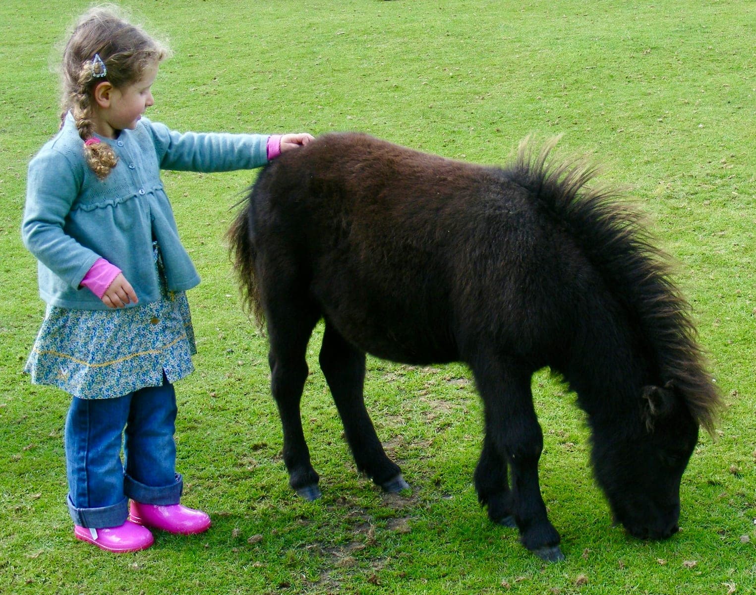 A little girl petting a small black pony