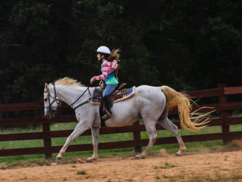 Beginner Pony Lessons service featured image